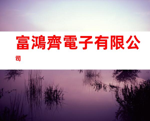 富鴻齊電子有限公司