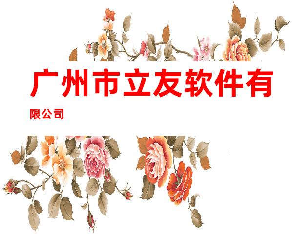 广州市立友软件有限公司