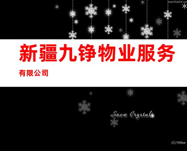 新疆九铮物业服务有限公司